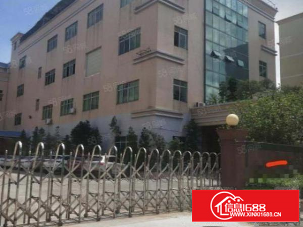 石排水贝工业区标准一楼750平方招租，水电齐全，有办公室装修