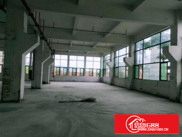 石龙仔工业区新空出一楼带牛角厂房