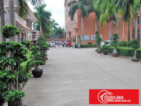 带装修哇！哇！哇！每平10元带装修仲恺惠