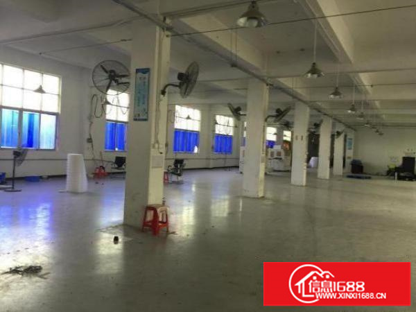 平湖新出一楼标准厂房1000平方价格实惠