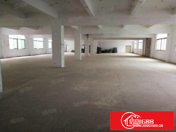 坑梓同富裕第二工业区红本独栋1000平米出租大小可分租无公摊