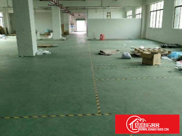 金桔带装修厂房800平方出租