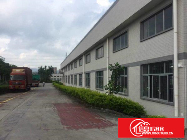 杨屋新出独院单一层钢构1300平方厂房出租