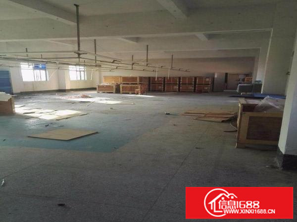 坪山碧岭工业区5楼500平米实际面积出租，带精装修