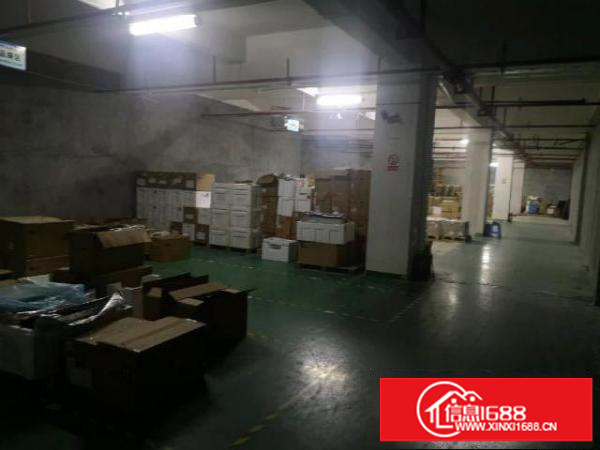 观澜1600平厂房仓库出租