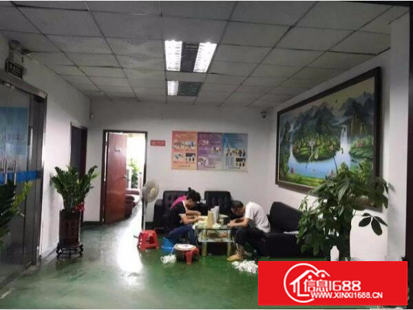 坂田天安云古附近新出楼上1250平方带装修