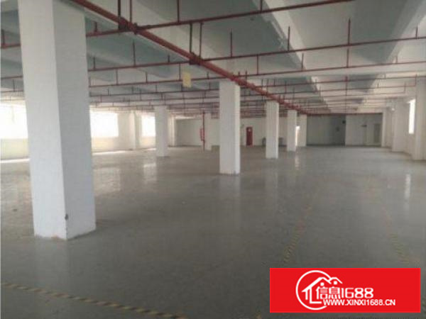 龙岗坪地新出5600平独院标准厂房出租