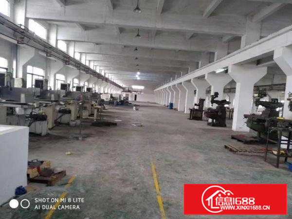 塘厦科苑城新出一楼2000平，带行车，无公摊仅租18原房东