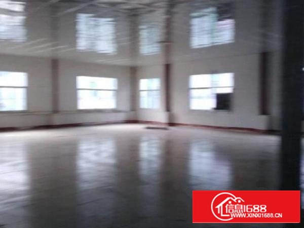 石排埔心标准厂房四楼，新吊顶铝扣板车间