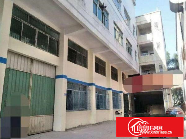 坂田地铁口新出1800平标准厂房出租，交通便利