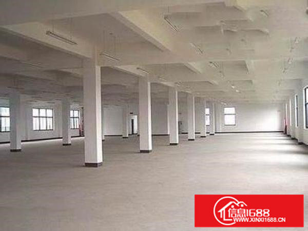 桥头新空出标准厂房一楼700平高6.5米精装修