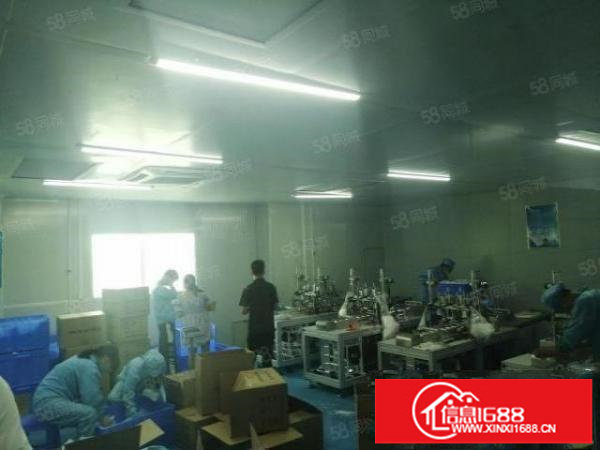 观澜梅观高速出口附近新出楼上1900平方带无尘车间装修厂房出