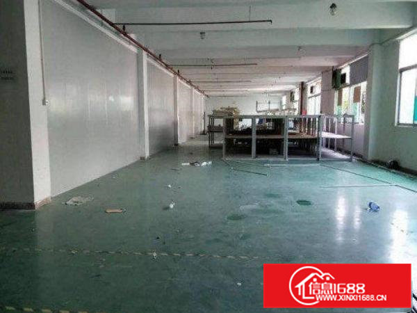 清溪荔横村一楼带装修220平厂房分租