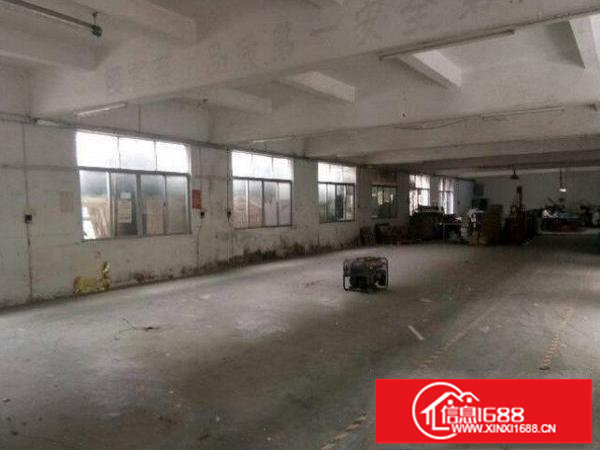 布吉新三村一楼500平带装修办公室厂房出租