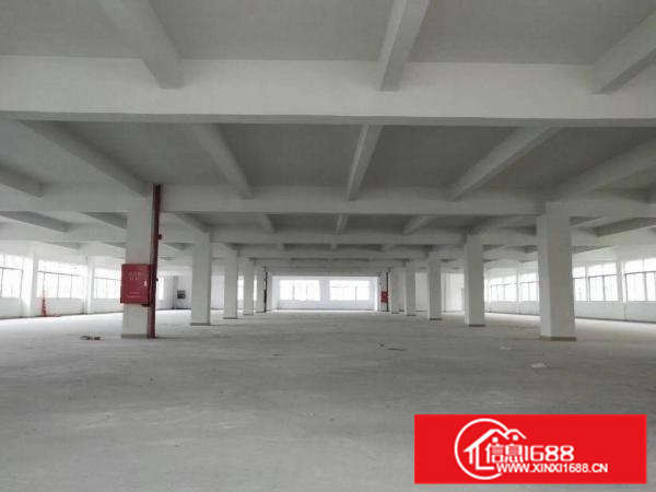 独栋形象好交通方便容桂标准6500方厂房出租