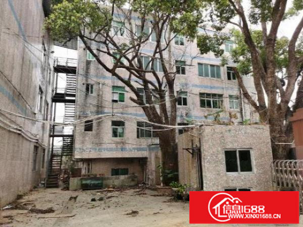 安良六约一手房东（原房东）独院厂房出租