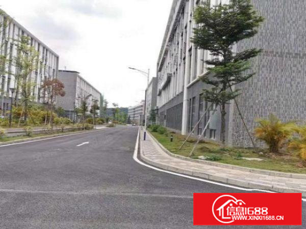 原房东无公摊清溪新出一楼1600平方带装修厂房急租