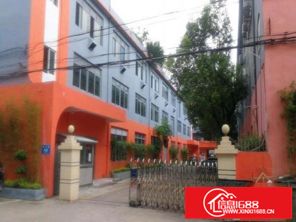 (独院)龙岗龙东爱南路旁边3300平方厂房出租！可分租