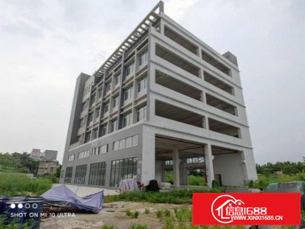 有证，可办环评，大良新建标准独院厂房出租，客分租