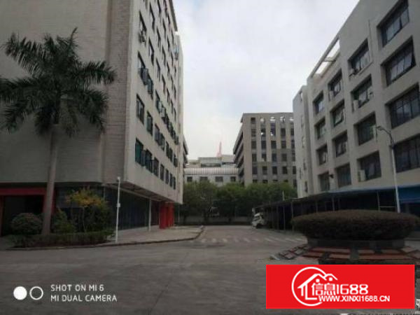 出租坪山新区坪山