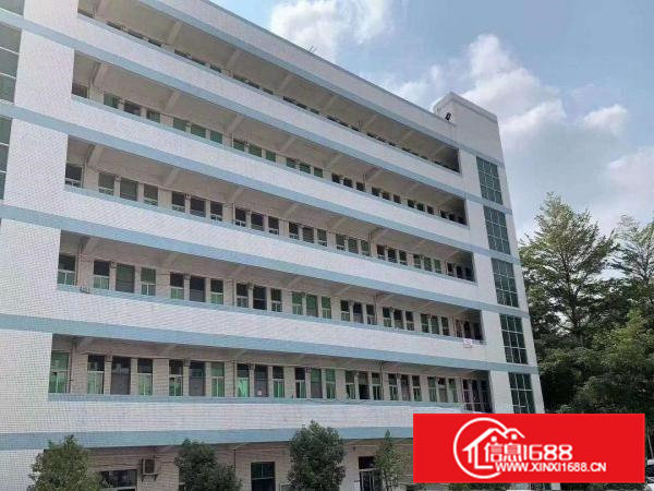 大岭山新出工业园单层1000平方厂房，有全新地坪漆