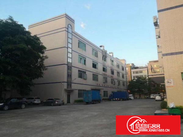 园洲厂房出租，5005000平都有，证件齐全，随时看房