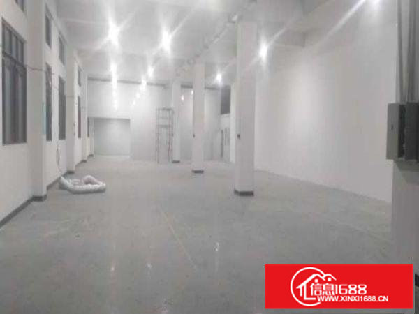 出租桥头镇原房东分租二楼650平方带电梯