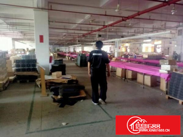 桥头镇新出标准厂房出租4000平方，周边无居民！