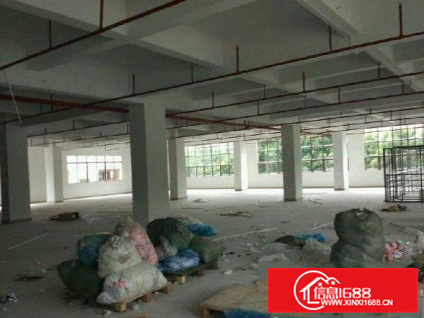 惠州新墟独院厂房出租2200平方400平起分租