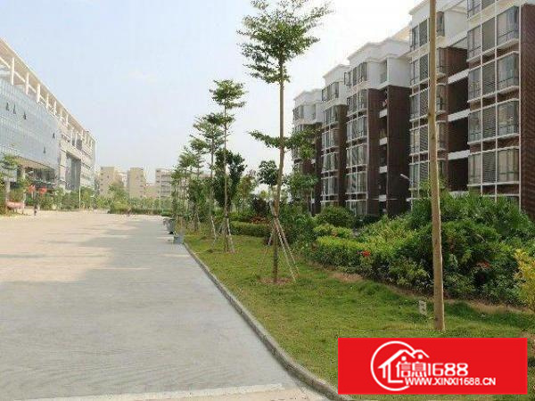 惠城区水口新空出花园式独门独院厂房招租