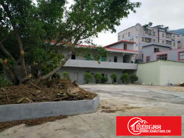 横沥六甲工业园原房东标准独院厂房4382平招租（可分租）