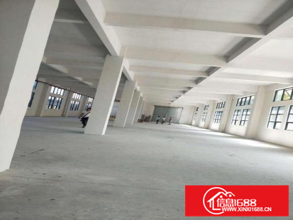 里水里官路边全新标准厂房10425平米出租，形象好