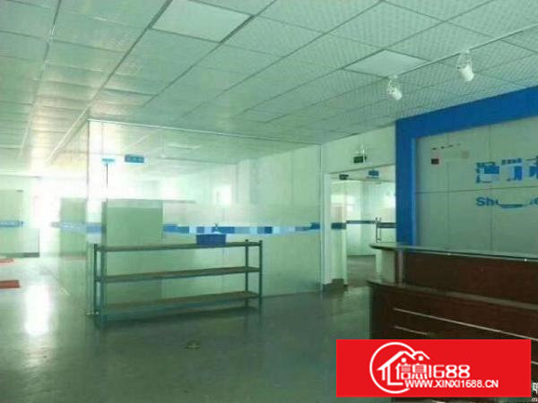 福永新和原房东625平带装修厂房出租