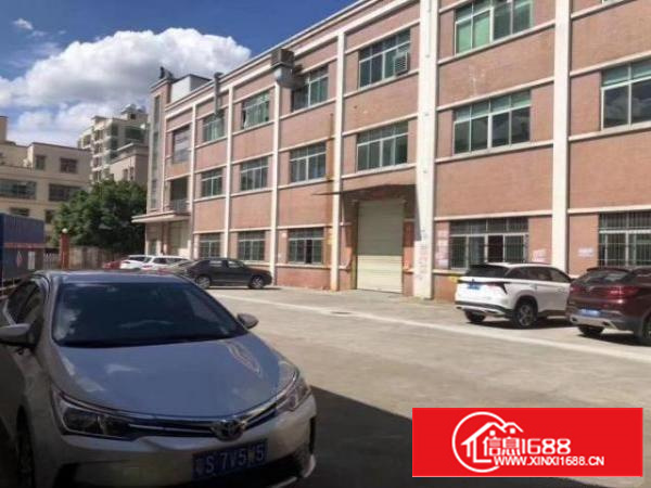 原房东独门独院标准厂房招租一楼高5米