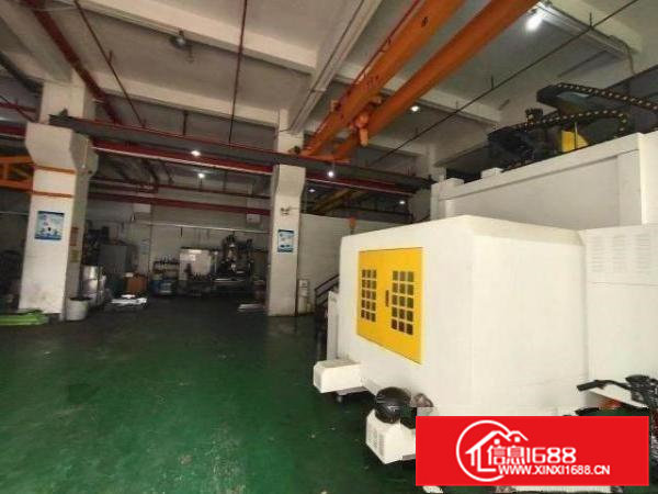 清溪一楼1600平高6.5米带牛角行车主线到车间