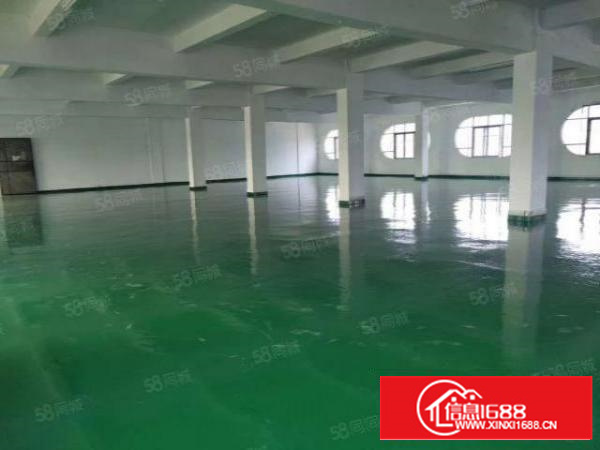 原房东带地皮漆厂房2楼2000方，惊喜价12块