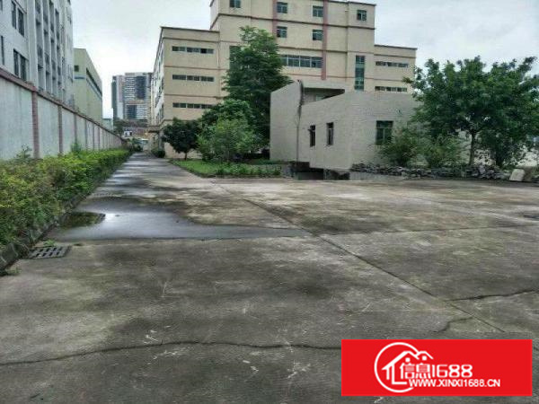 免中介费坪山石井空置1楼450平米标准厂房出租