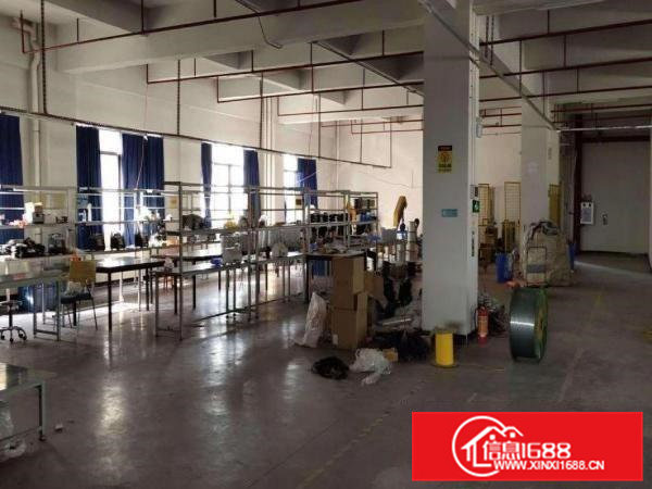 横沥半仙山独门独院楼上1500平招租水电办公室齐全