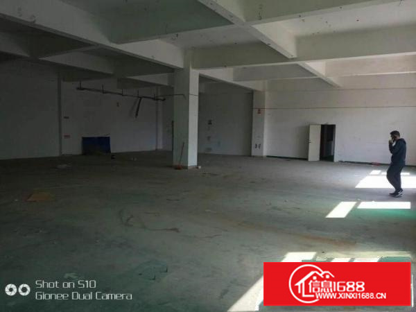 龙岗南联一二楼各550平米出租