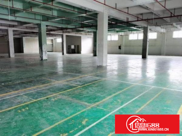 东坑彭屋红本厂房800平现成装修带消防喷淋可办环评