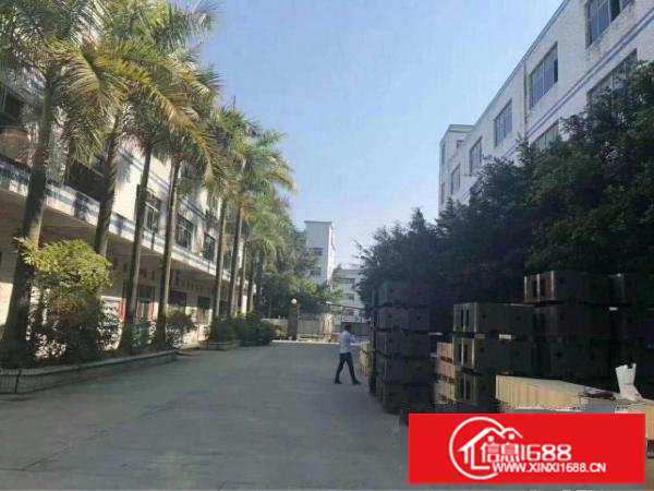 坪山新区原房东独院厂房招租，无公摊