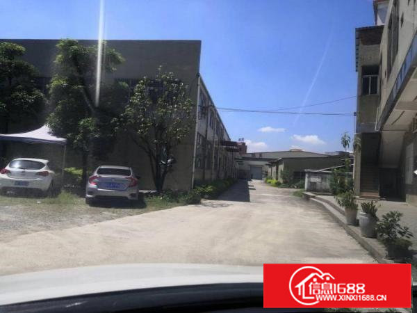 石排原房东1300平方米钢构厂房招租，水电齐全