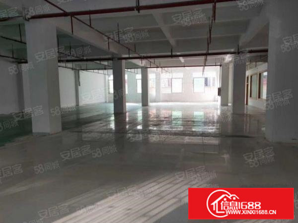 大宁产业园出租，面积可分租，二手房东勿扰，只租实业客户