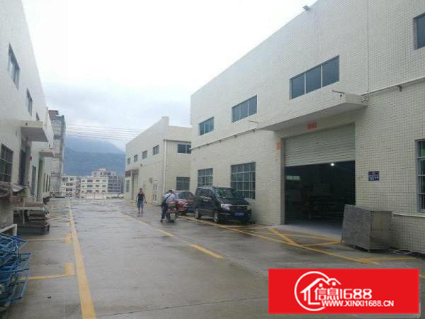 惠阳新圩可做污染钢构厂房1000平方