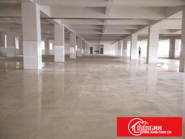 容桂独门独院工业园招租、标准加简易、带吊机电大