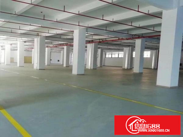 横岗六约珠宝园红本独院43800平厂房出租可分租