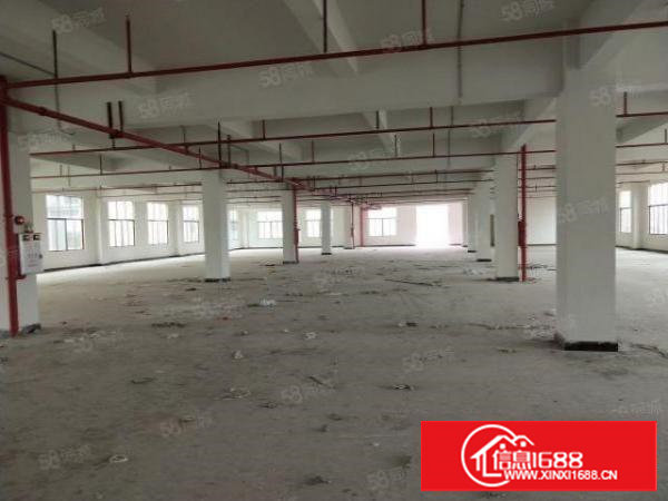 谢岗原房东全新三楼整层1500平方出租