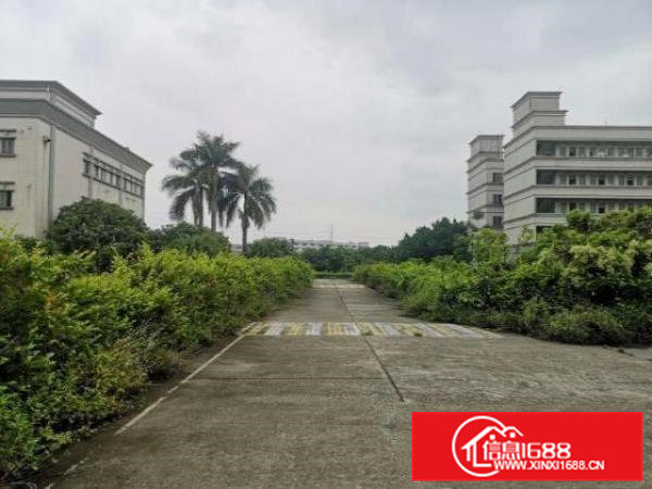 桥头镇新出原房东独院标准厂房出租