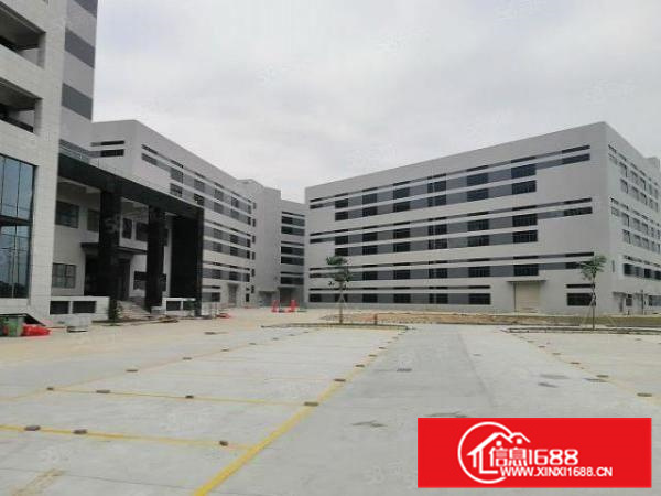 首层高9米，厂靓，空地大，顺德大良10000平方标准厂房出租