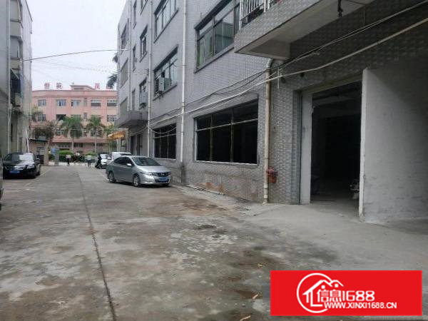 东莞市大朗镇汽车站附近原房东一搂900平方便宜出租